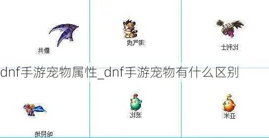 dnf手游圆球宠物-DNF手游圆球宠物指南